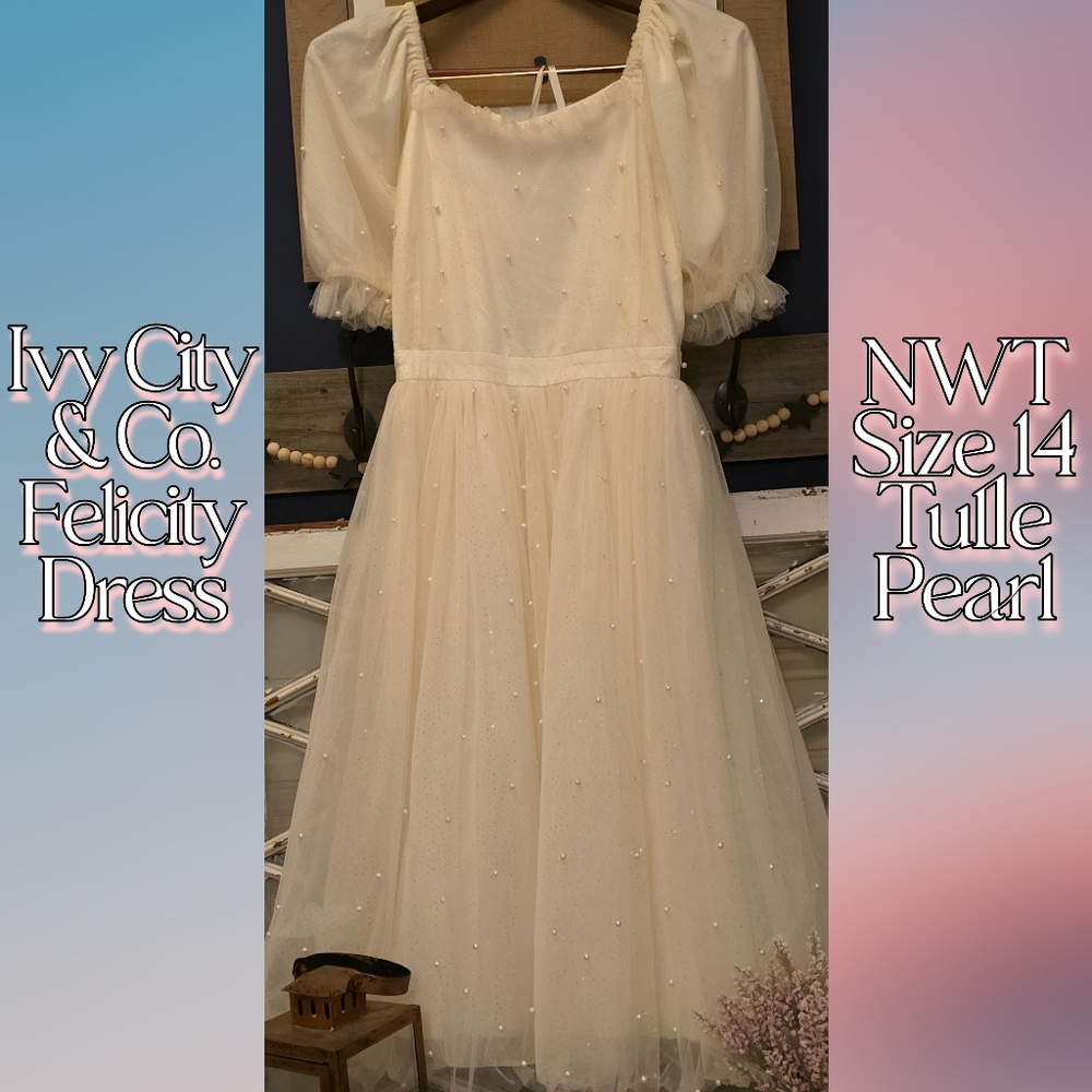 Ivy City Co. Felicity Tulle Pearl & Crystal Dress NWT